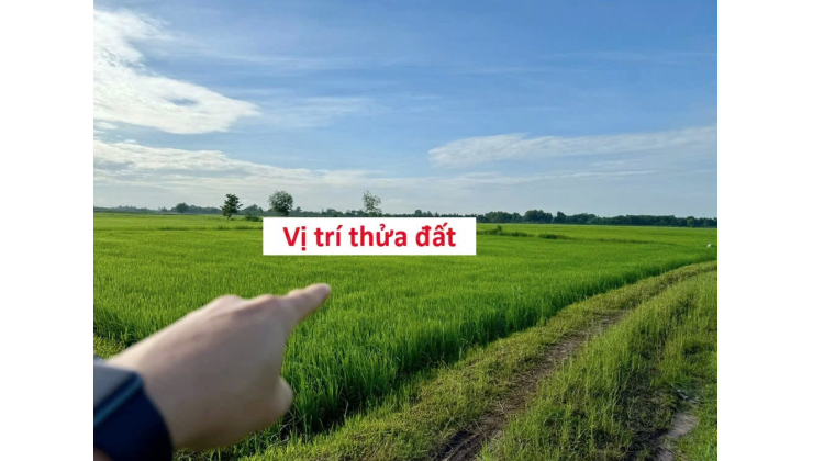 BÁN ĐẤT CHÍNH CHỦ KHÔNG QUA MÔI GIỚI, CẦN RA GẤP GIÁ TỐT